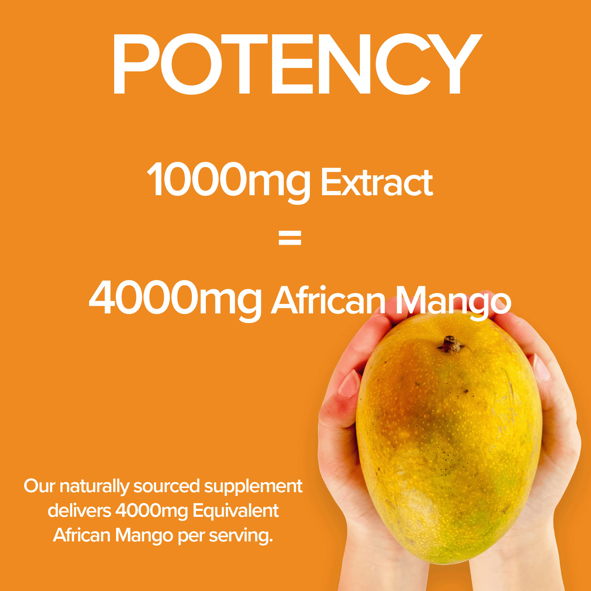 African Mango seed triglyceride levels